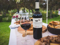 Sample and enjoy the superb wines