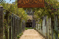 Matetic La Casona