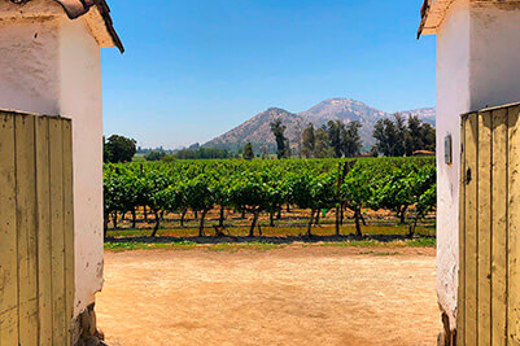 Santa Rita Vineyard And Hotel