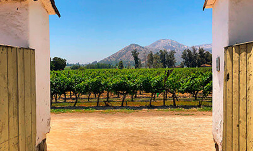 Santa Rita Vineyard And Hotel