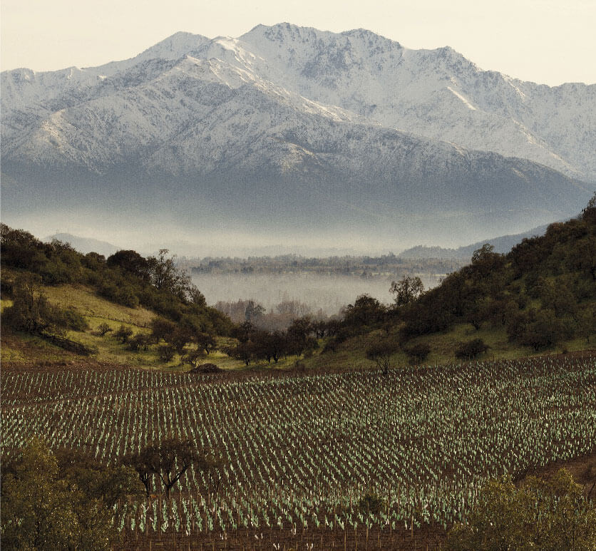 View Of The Valley