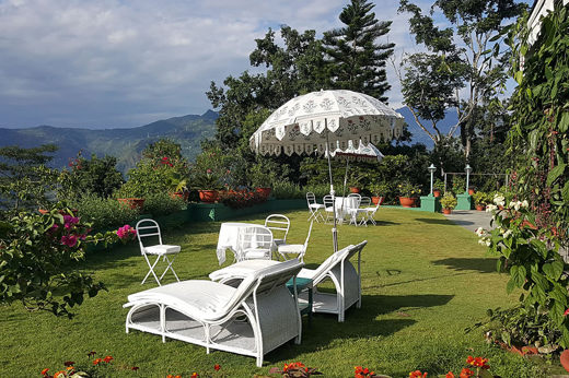 The Garden