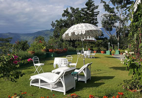 The Garden