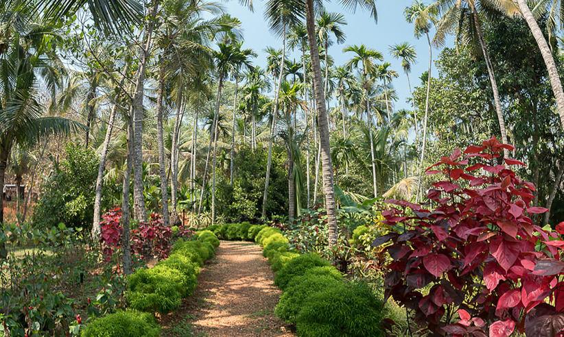 Beautiful Gardens