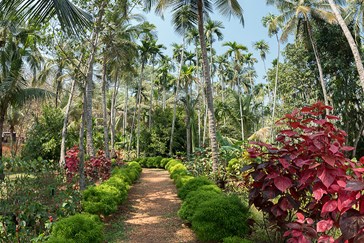 Beautiful Gardens