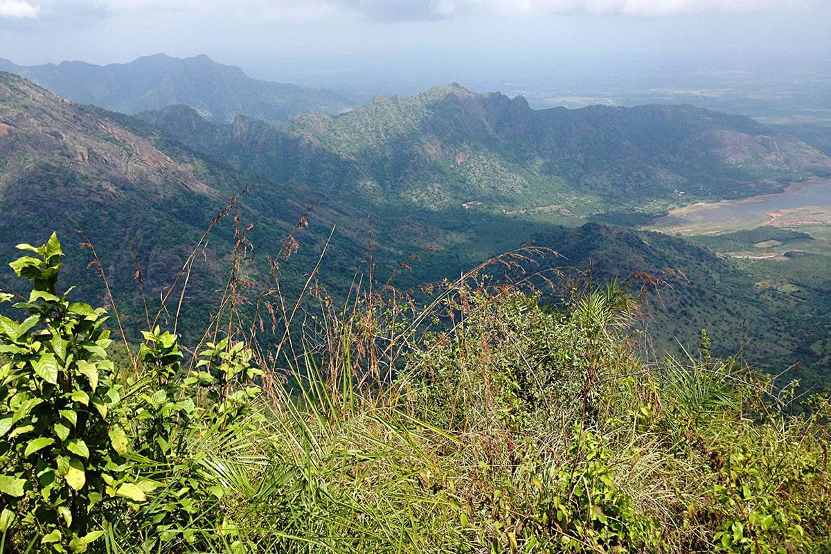 Go Walking In The Nearby Hills