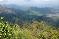 Go Walking In The Nearby Hills