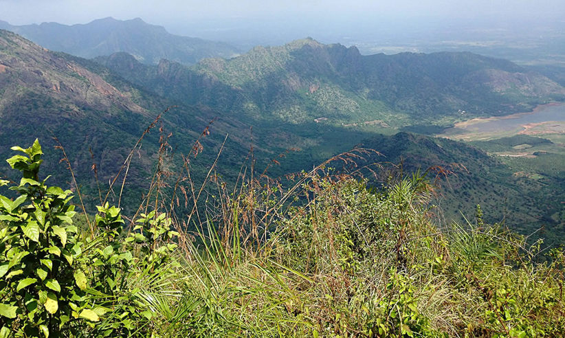 Go Walking In The Nearby Hills