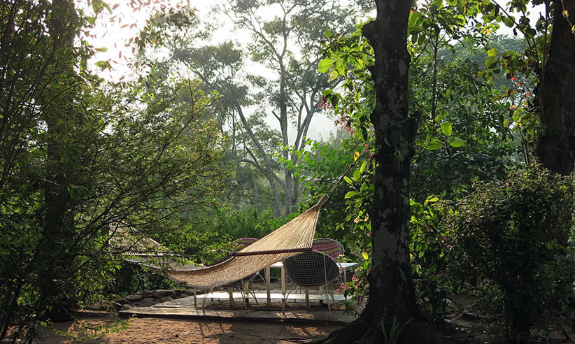 Relax In Your Hammock
