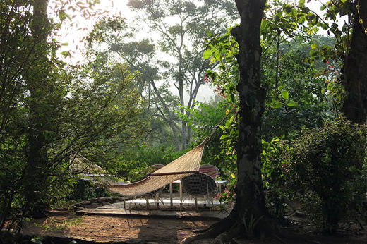 Relax In Your Hammock