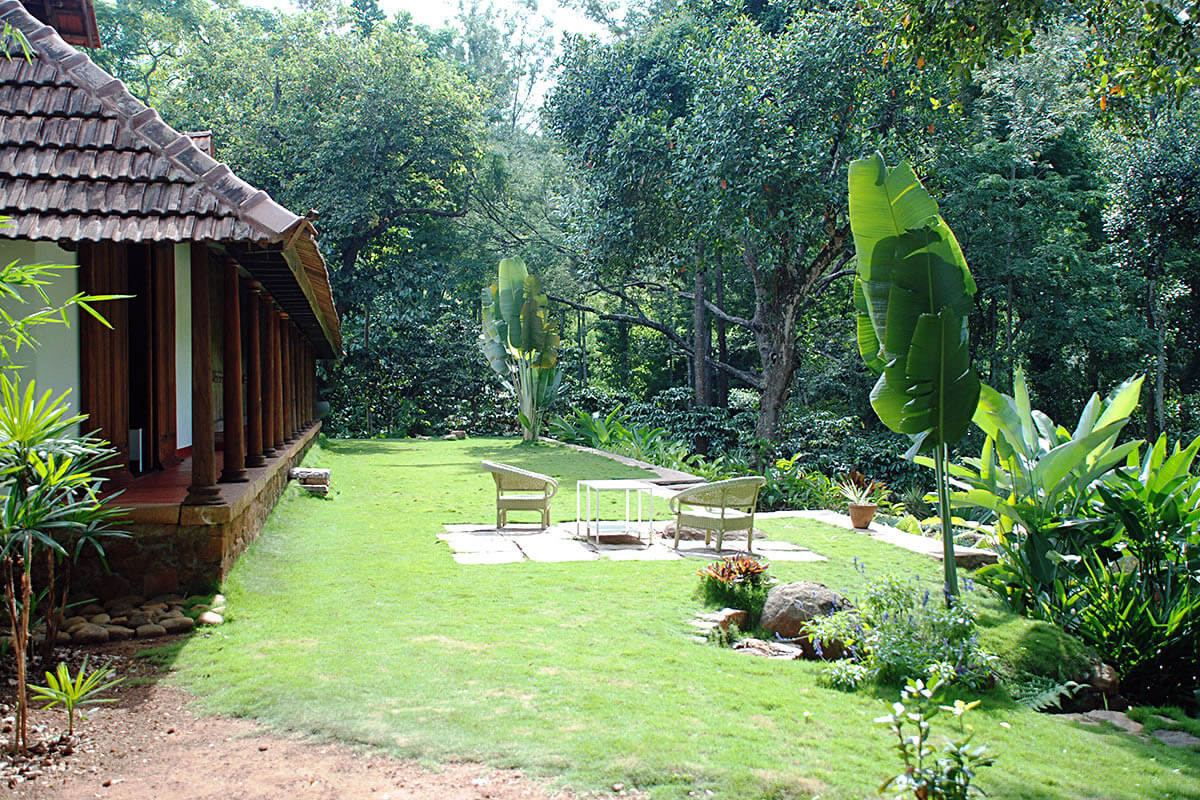 View Of The Garden