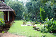 View Of The Garden