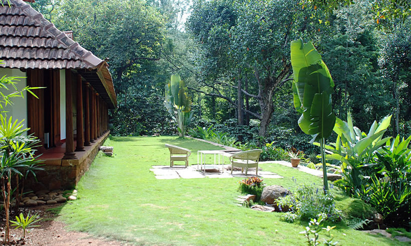 View Of The Garden