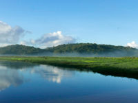 Marais De Raw