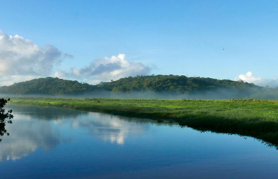 Marais De Raw