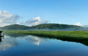 Marais De Raw