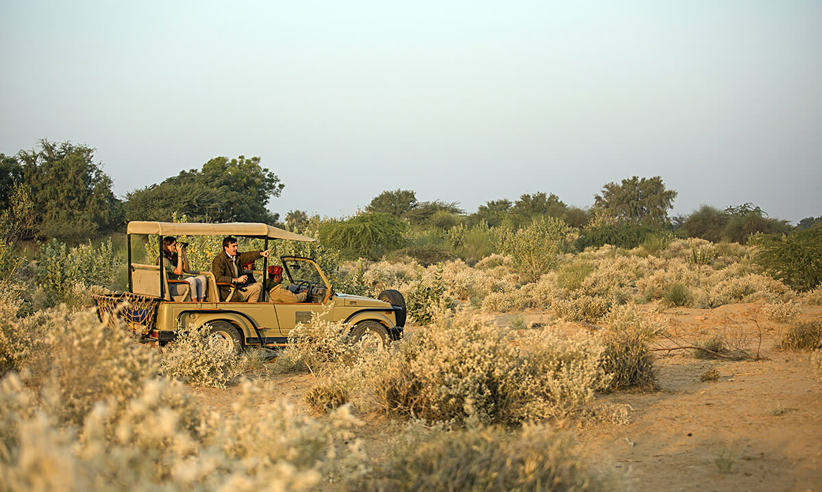 Desert Safari