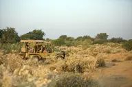 Desert Safari