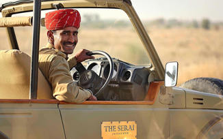 Take A Safari Into The Desert