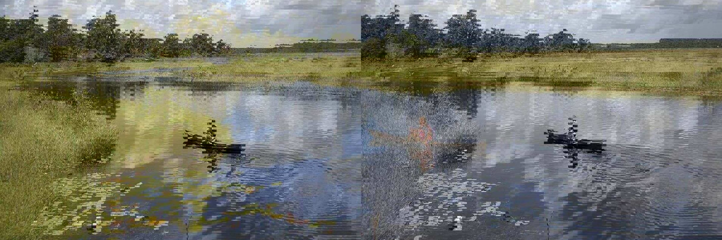 Marais de Kaw