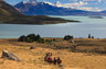 Perfect for horseriding in the remote, beautiful countryside