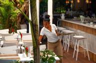 Bar At Le Cameleon