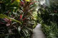 Hotel Garden