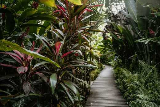 Hotel Garden