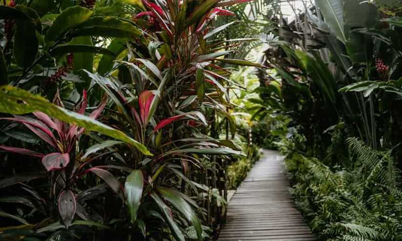 Hotel Garden