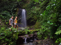Couple hiking through lush rainforest to a hidden waterfall in Costa Rica's Tenorio National Park. 