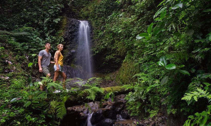 Couple hiking through lush rainforest to a hidden waterfall in Costa Rica's Tenorio National Park. 