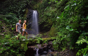 Cascade Pacuare Costa Rica