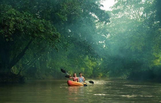 Two travelers paddle a kayak through calm jungle waters in Tenorio National Park, Costa Rica. 