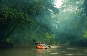 Kayaking in the flooded rainforest