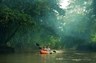 Kayaking in the flooded rainforest