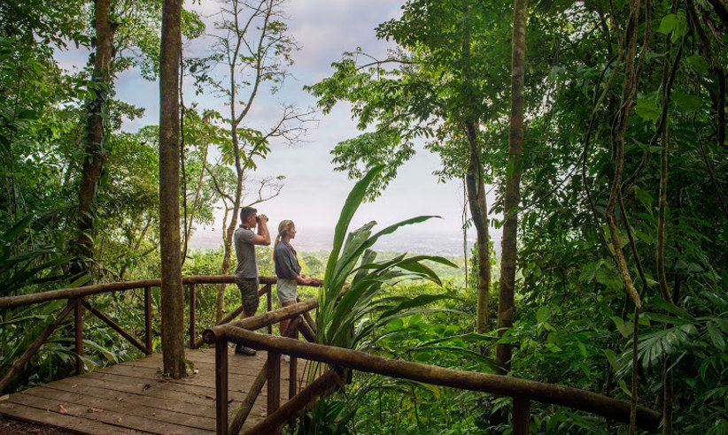 Guests enjoy panoramic views from a wooden deck nestled in the tree canopies of Costa Rica's lush rainforest. 