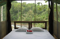 A cozy bungalow bedroom with large windows opens to lush rainforest views at Pacuare River Lodge. 