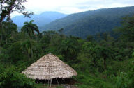 Take a trek to meet the local Cabecar people