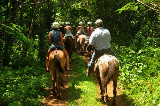 Horse riding in Pacuare 