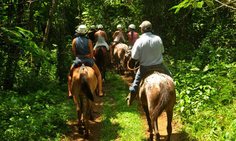 Horse riding in Pacuare 