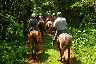 Horse riding in Pacuare 