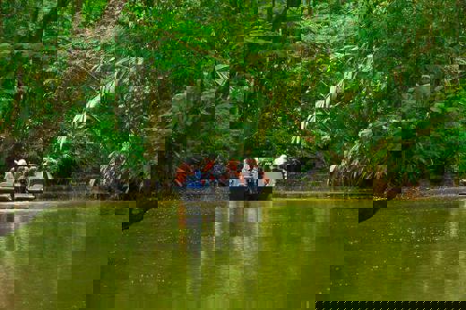 Visitors cruise through Tortuguero's lush canals, surrounded by dense jungle and vibrant wildlife. 