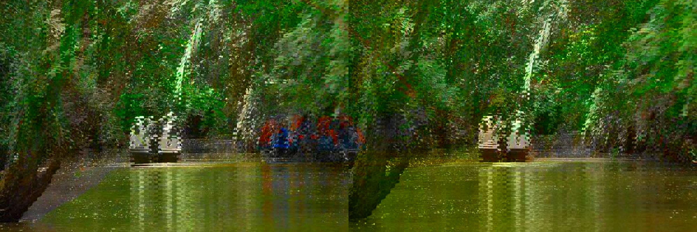 Visitors cruise through Tortuguero's lush canals, surrounded by dense jungle and vibrant wildlife. 