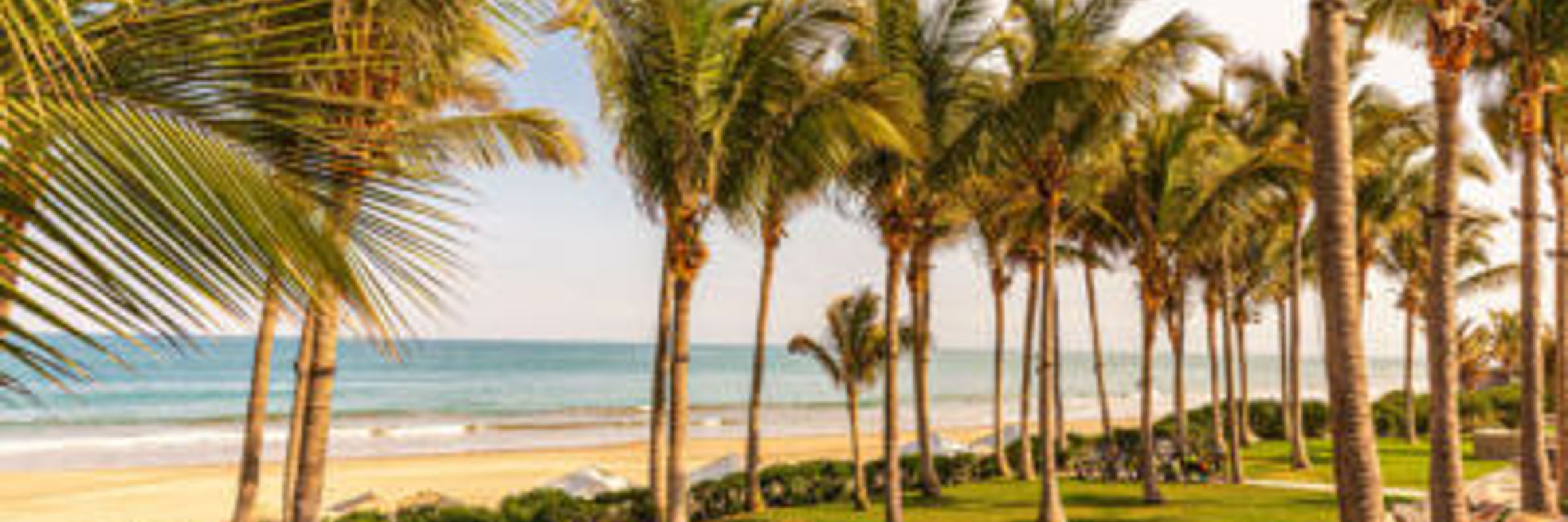 Palm-lined Mancora Beach in northern Peru - a serene coastal escape known for sun, sand, and surf. 