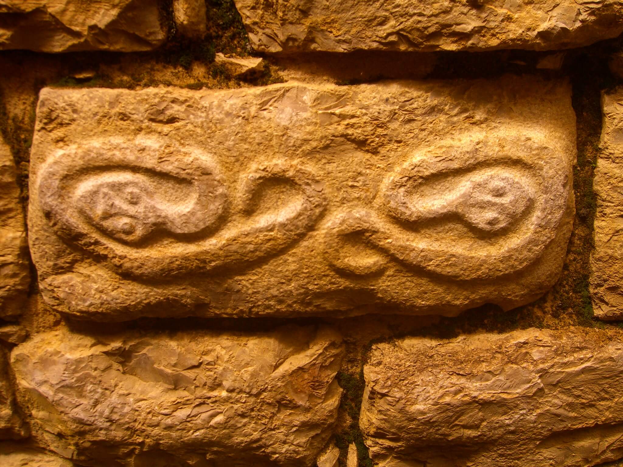 Ancient serpent-like carvings etched into Kuelap's fortress stones echo the Chachapoya legacy. 