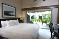 Garden View Room