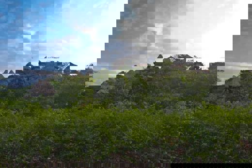 Your Lodge In The Hills