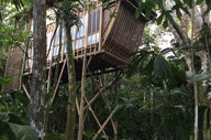 Amazing Treetops Bungalow