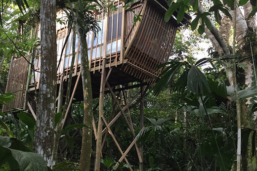 Amazing Treetops Bungalow