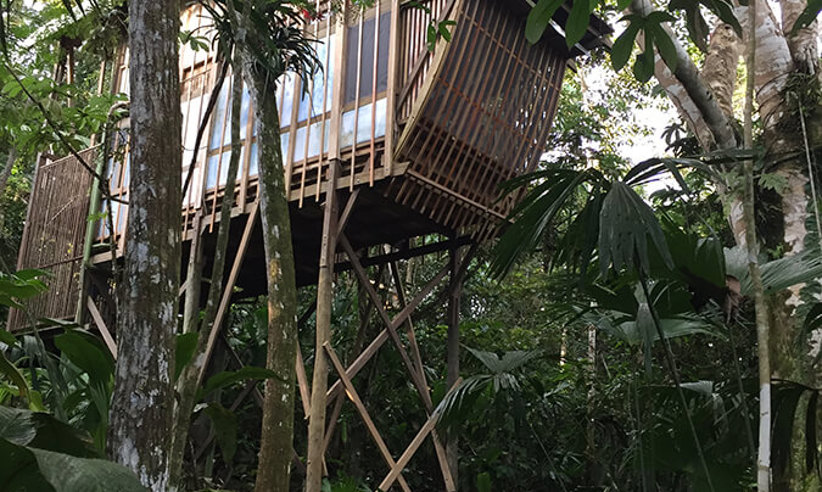 Amazing Treetops Bungalow